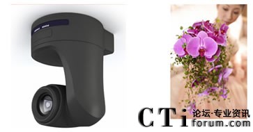 �������^���r��������